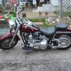 Meet your Posher, Judy